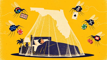 Florida sweepstakes casino ads google meta tiktok
